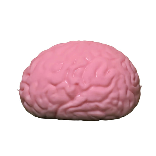 Big Brain Squishy Stress Relief Toy