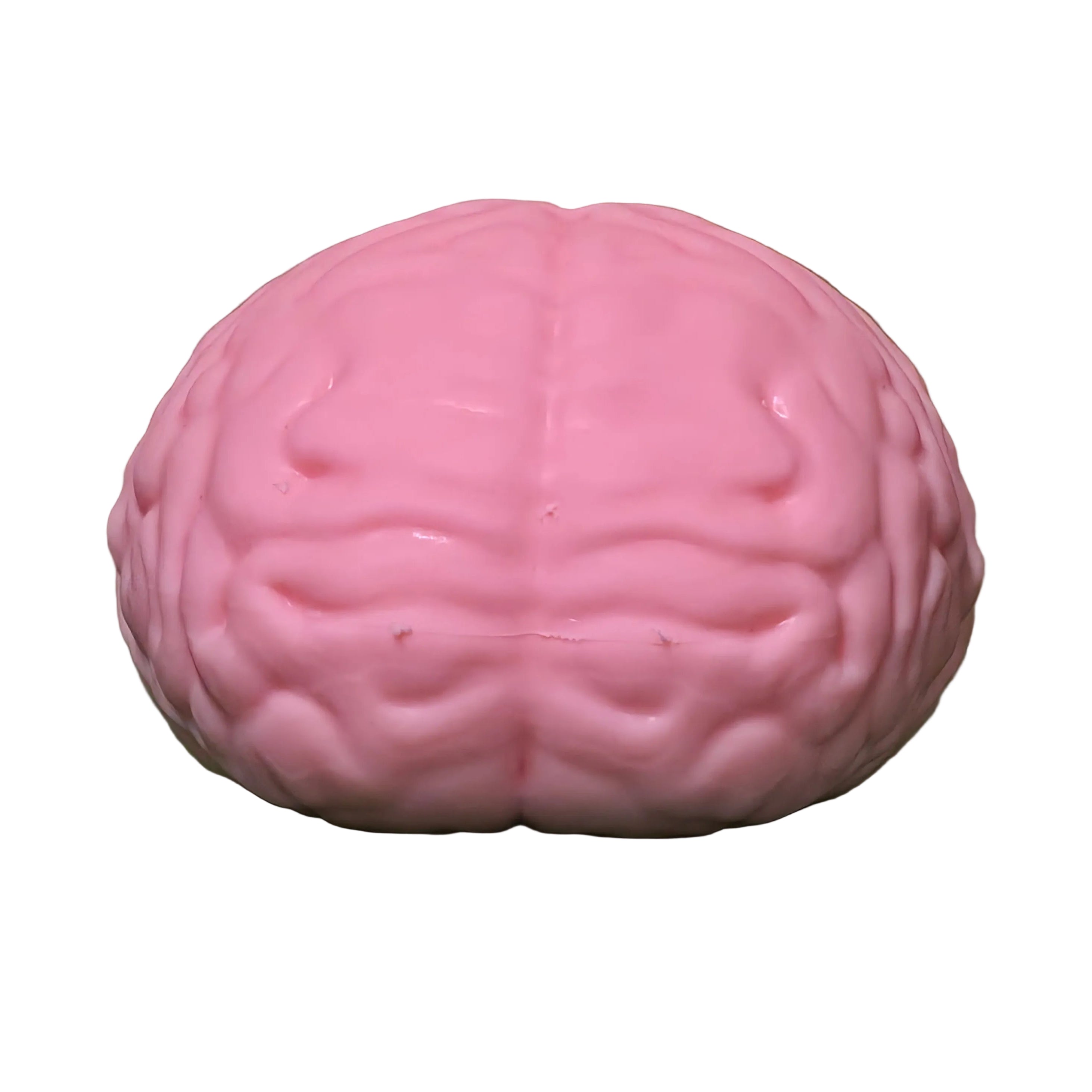 Big Brain Squishy Stress Relief Toy