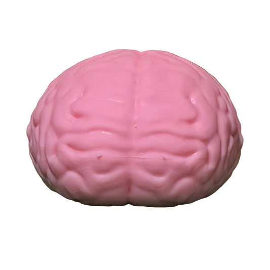 Big Brain Squishy Stress Relief Toy