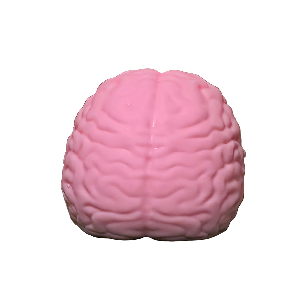 Big Brain Squishy Stress Relief Toy